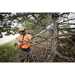 Worker using a pole saw to trim branches on a large tree.