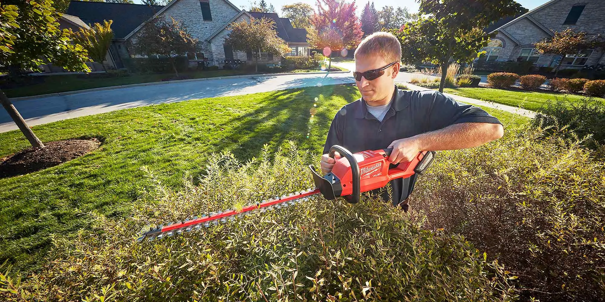 Hedge Trimmer