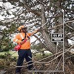 A person in an orange safety outfit and helmet uses the M18 FUEL™ Pole Saw w/ QUIK-LOK™ Kit to trim branches from a large tree. The image highlights the 11-foot overhead reach of the pole saw.