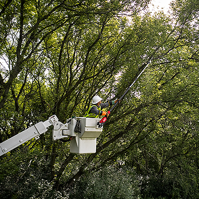 Milwaukee battery tree deals trimmer